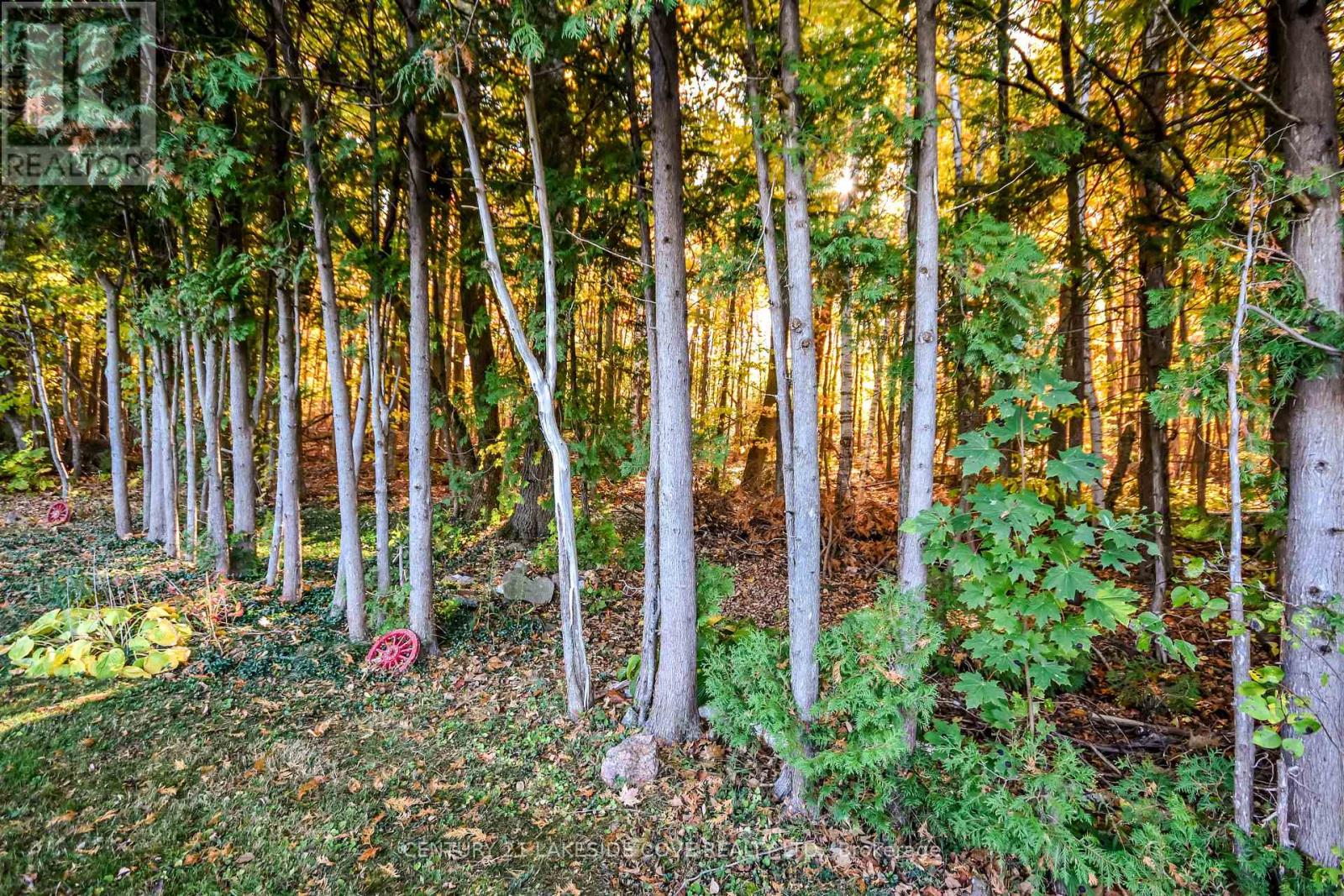 1355 Hilltop Road, Severn, Ontario  L3V 0V7 - Photo 47 - S12726284