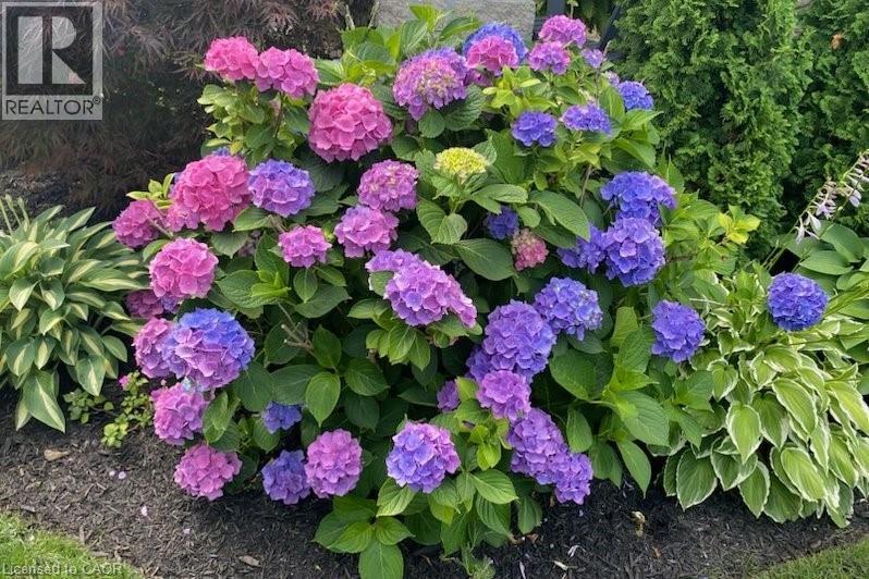 92 Loretta Drive Unit# 18, Niagara-On-The-Lake, Ontario  L0S 1T0 - Photo 50 - 40797647