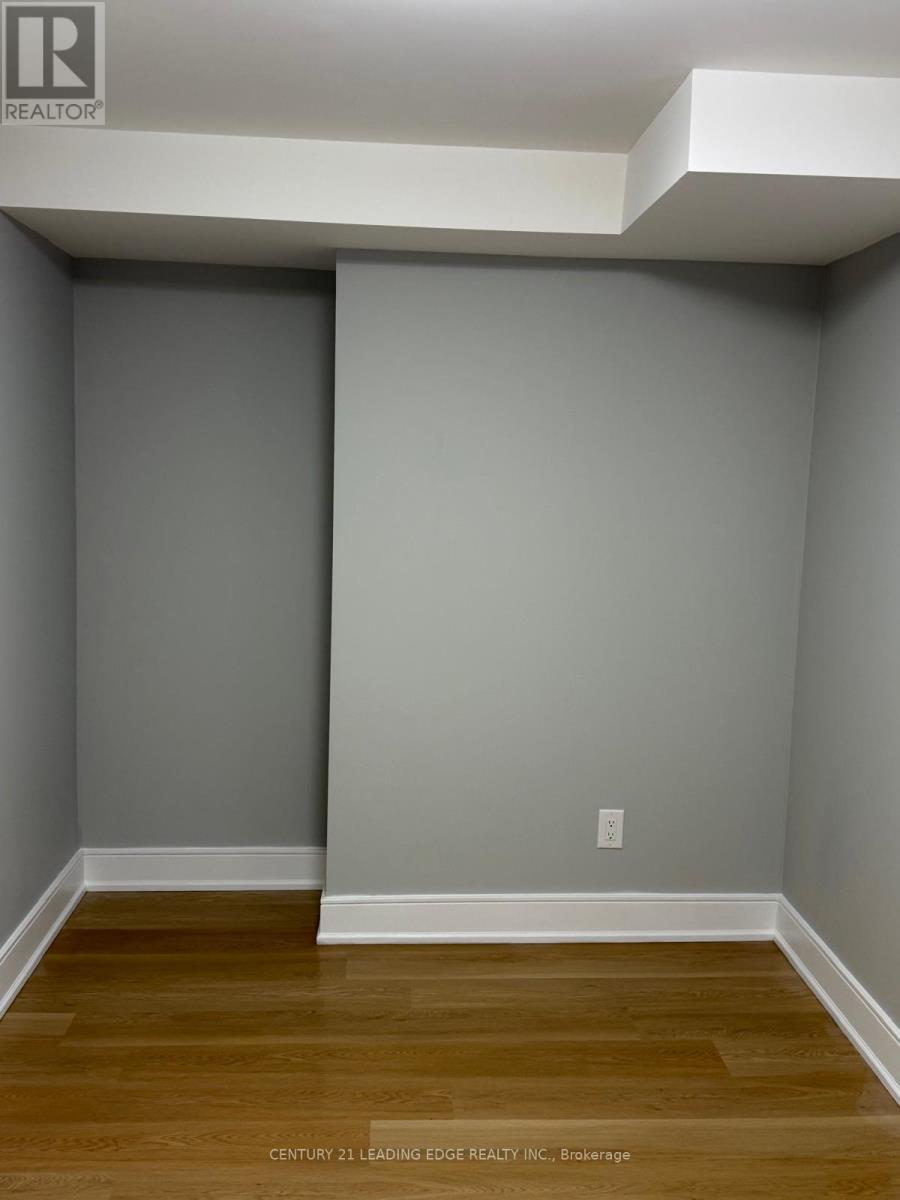 Basement - 56 Frederick Pearson Street, East Gwillimbury, Ontario  L9N 0R8 - Photo 10 - N12726370