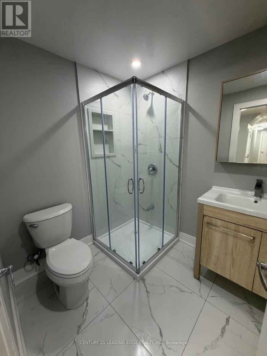 Basement - 56 Frederick Pearson Street, East Gwillimbury, Ontario  L9N 0R8 - Photo 2 - N12726370