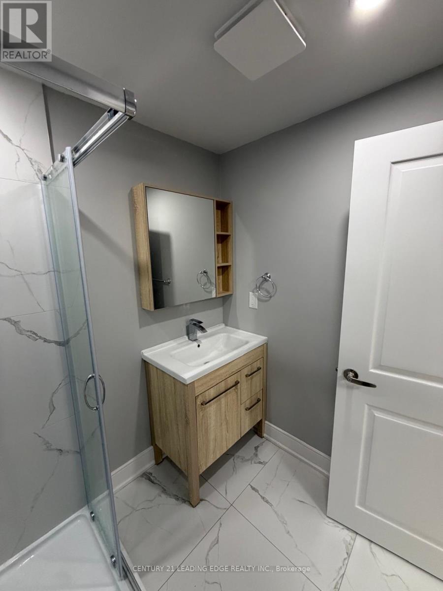 Basement - 56 Frederick Pearson Street, East Gwillimbury, Ontario  L9N 0R8 - Photo 4 - N12726370