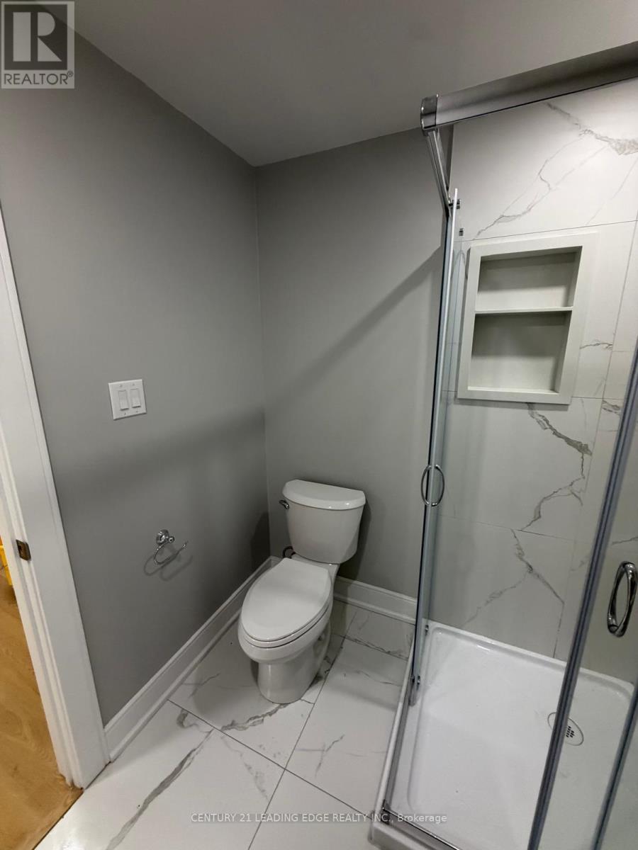 Basement - 56 Frederick Pearson Street, East Gwillimbury, Ontario  L9N 0R8 - Photo 5 - N12726370