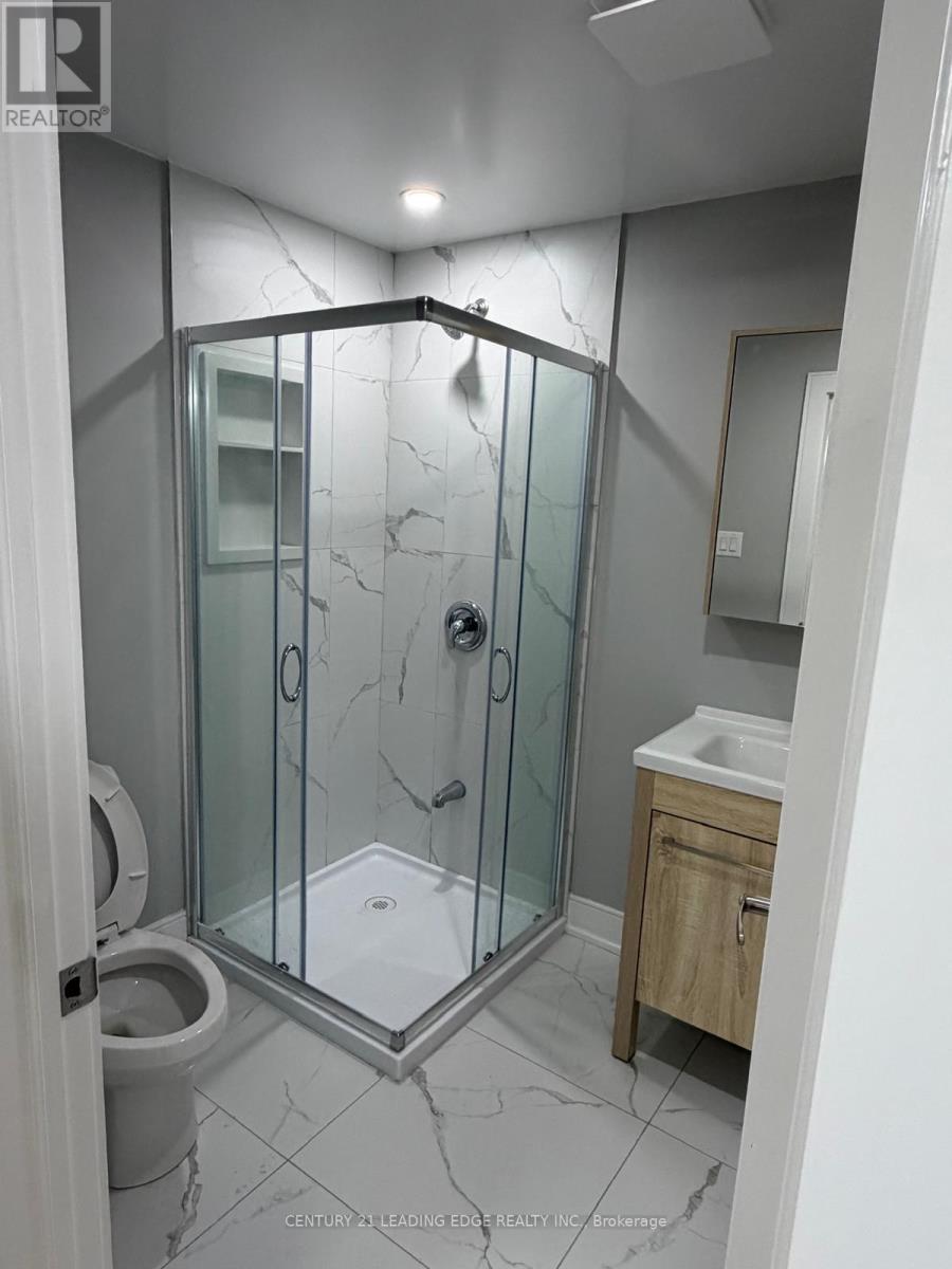 Basement - 56 Frederick Pearson Street, East Gwillimbury, Ontario  L9N 0R8 - Photo 7 - N12726370