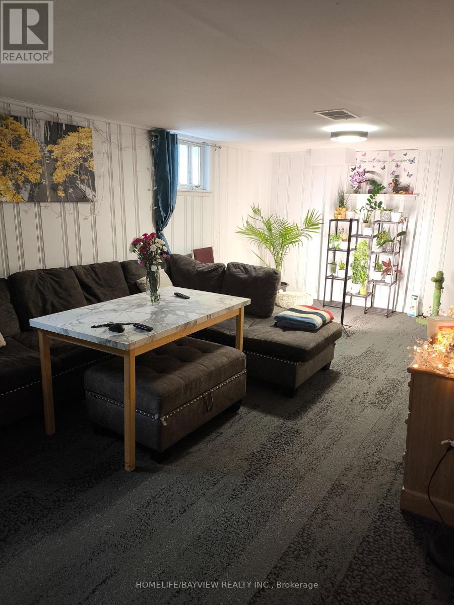 Basement - 45 Cartier Crescent, Richmond Hill, Ontario  L4C 2M9 - Photo 8 - N12716732