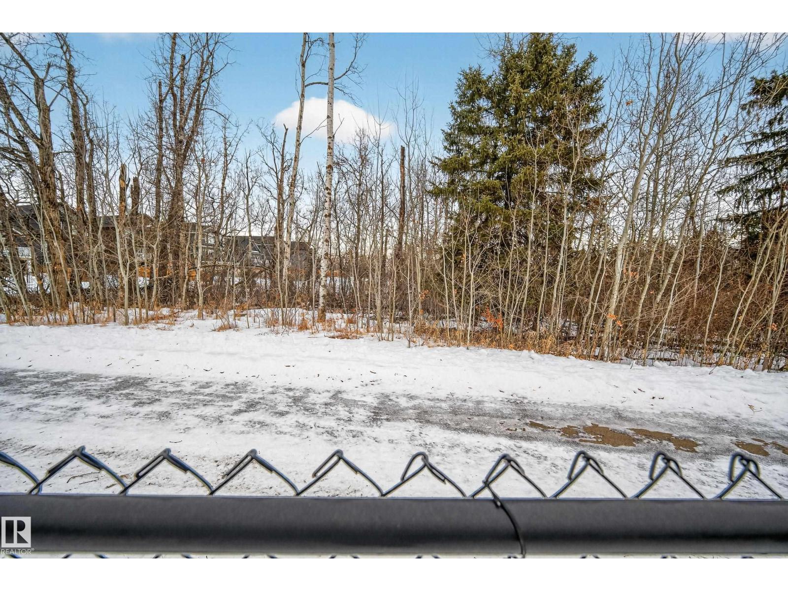 1663 Enright Wy Nw, Edmonton, Alberta  T6M 0Z2 - Photo 65 - E4470956