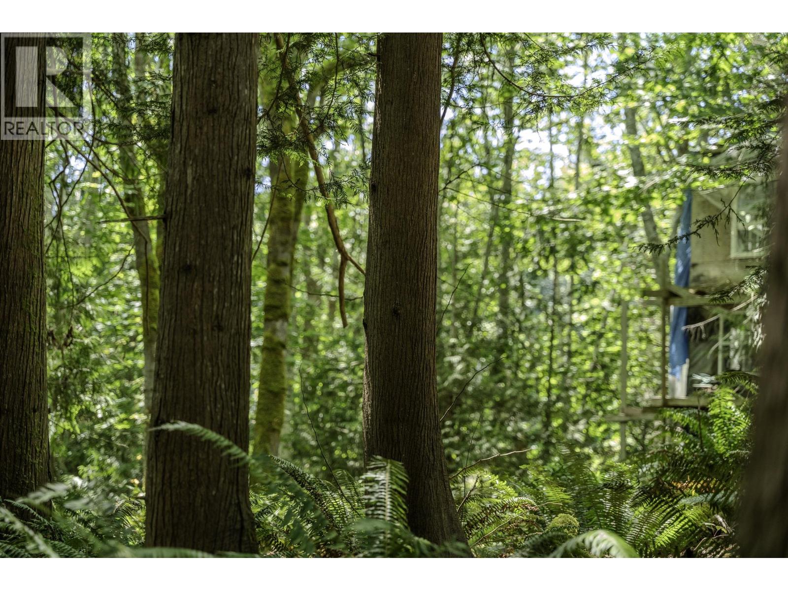 12882 Stone Road, Pender Harbour, British Columbia  V0N 2H1 - Photo 10 - R3082781