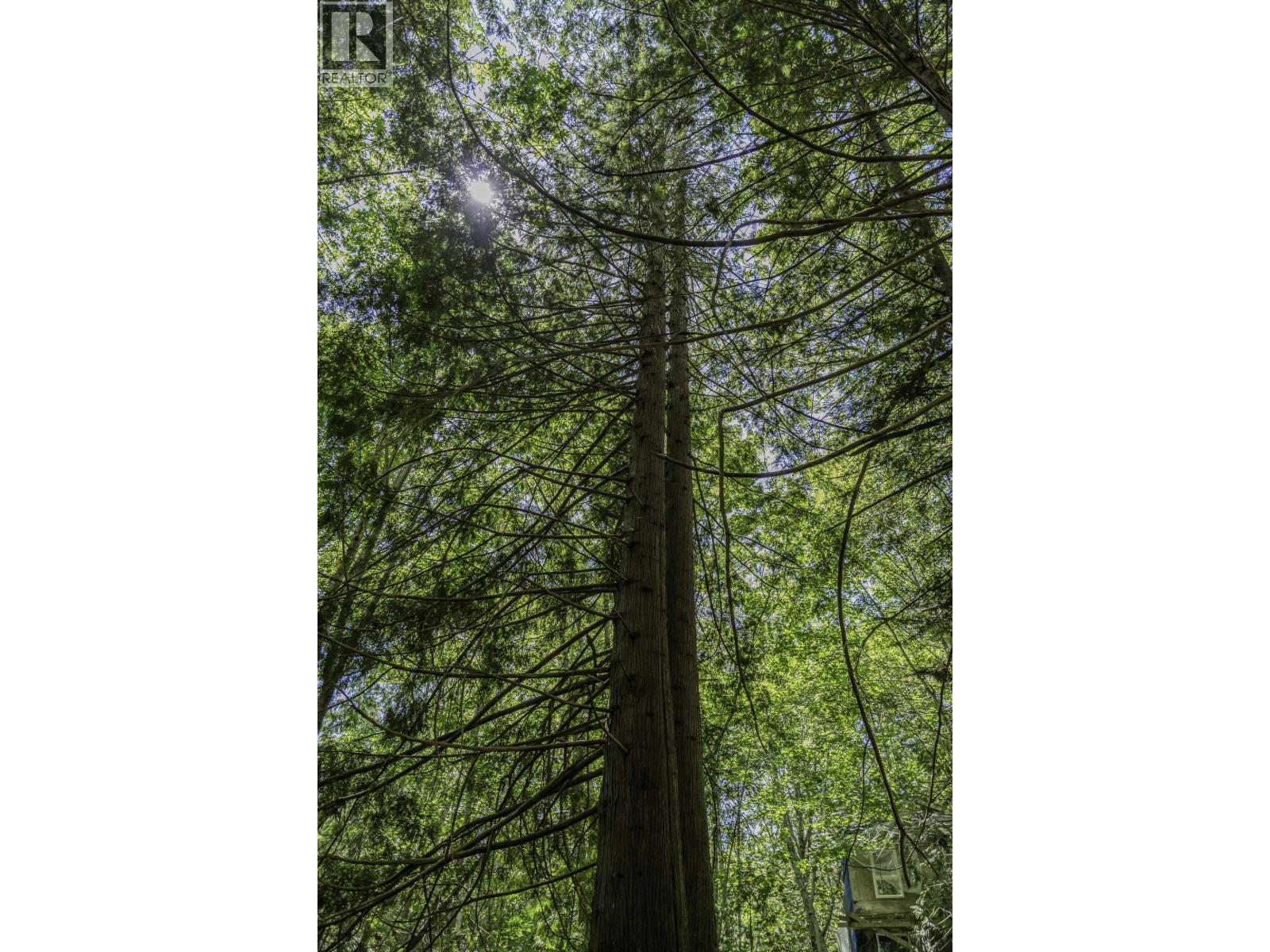 12882 Stone Road, Pender Harbour, British Columbia  V0N 2H1 - Photo 11 - R3082781