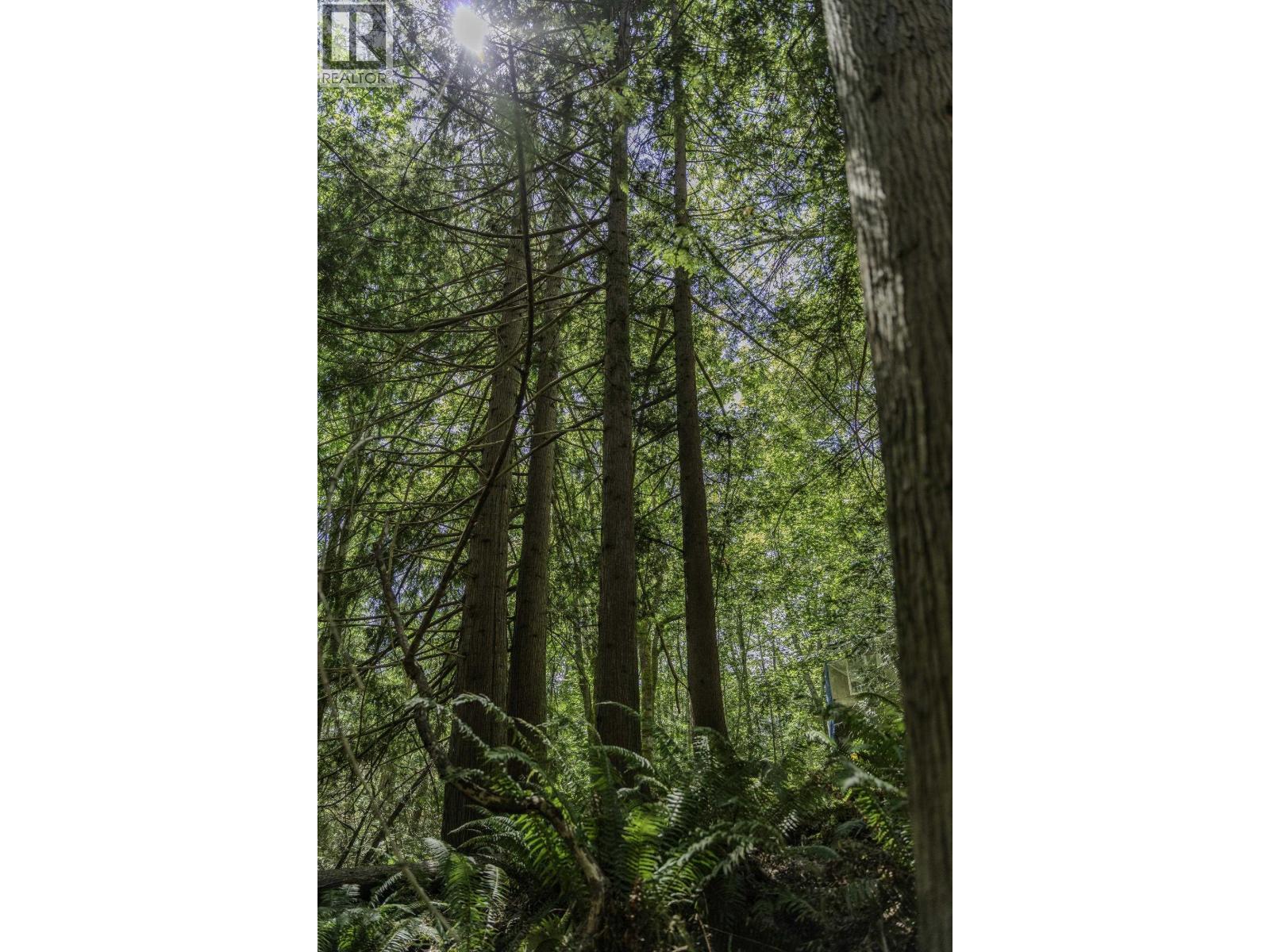 12882 Stone Road, Pender Harbour, British Columbia  V0N 2H1 - Photo 8 - R3082781