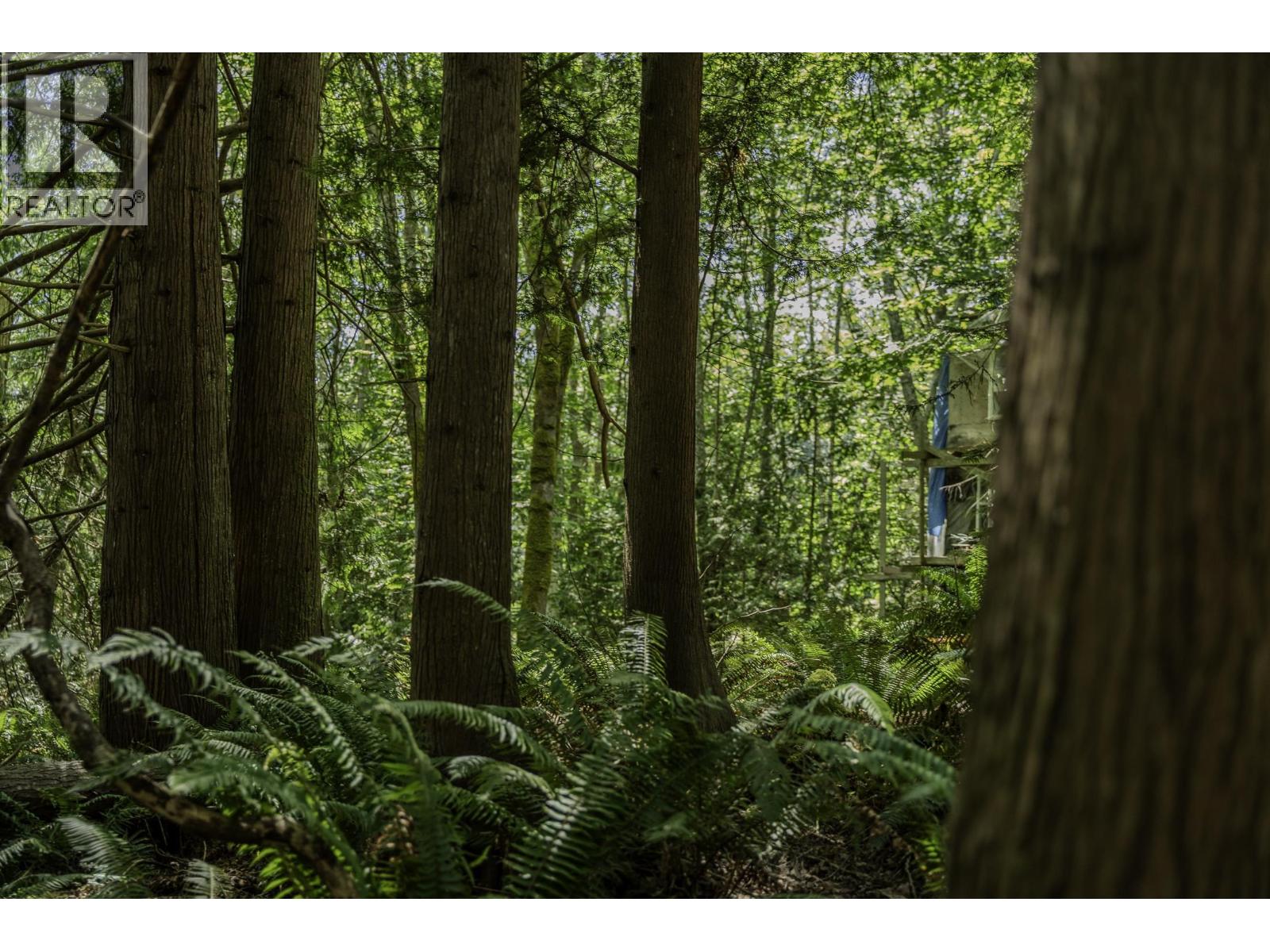 12882 Stone Road, Pender Harbour, British Columbia  V0N 2H1 - Photo 9 - R3082781