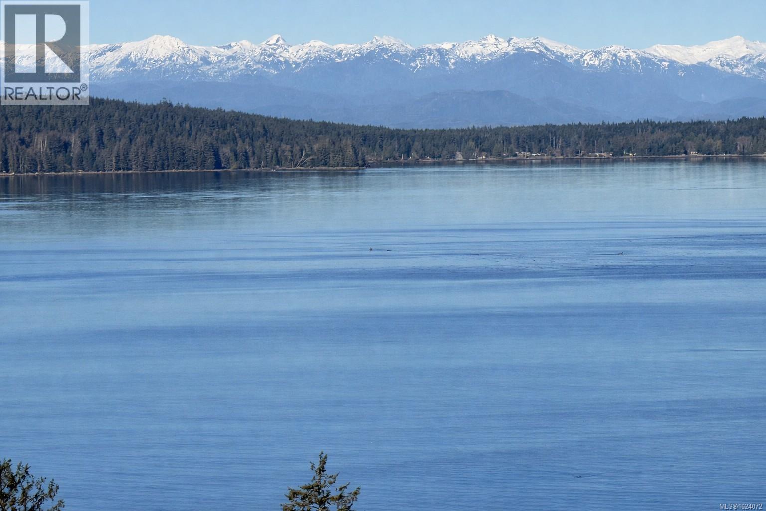 2524 Woodland Dr, Port Mcneill, British Columbia  V0N 2R0 - Photo 34 - 1024072