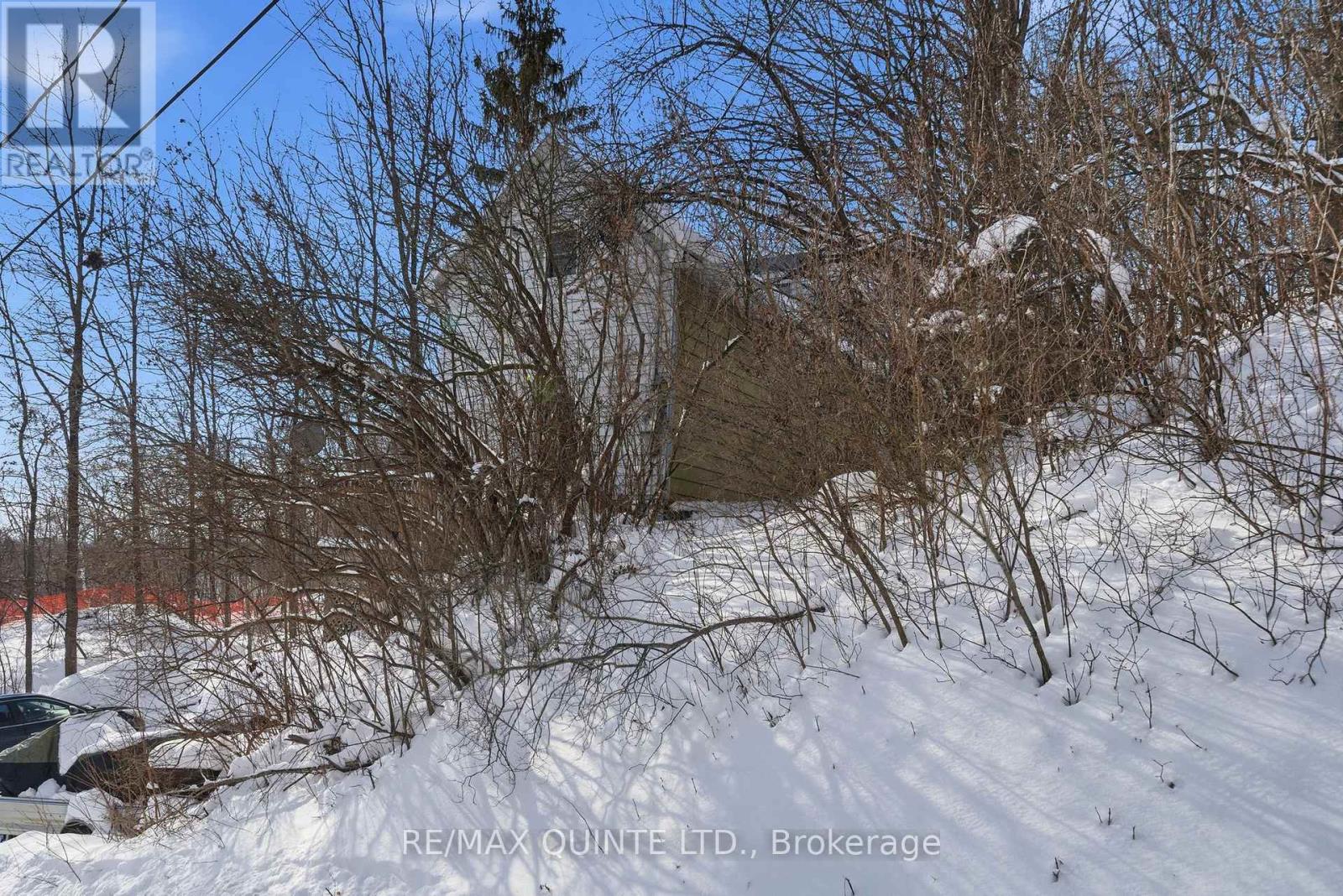 94 Maple Street, Trent Hills, Ontario  K0K 1L0 - Photo 3 - X12726530