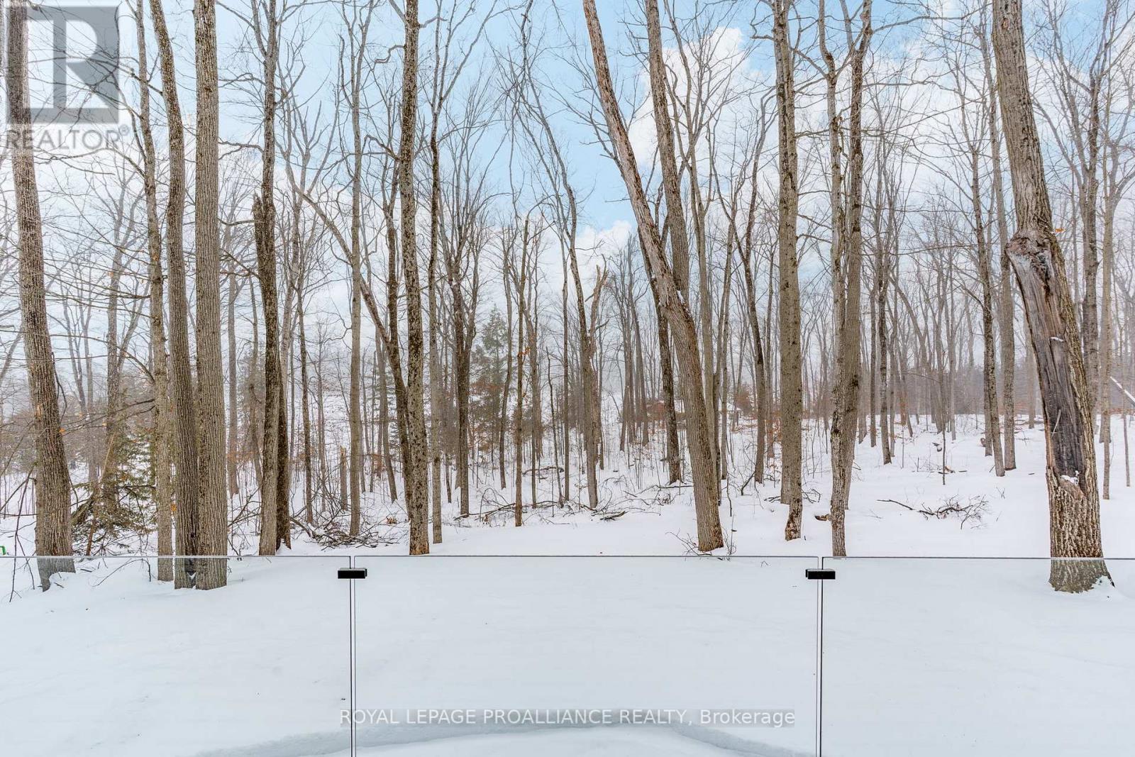 160 Sumcot Drive, Trent Lakes, Ontario  K0L 1J0 - Photo 42 - X12726574