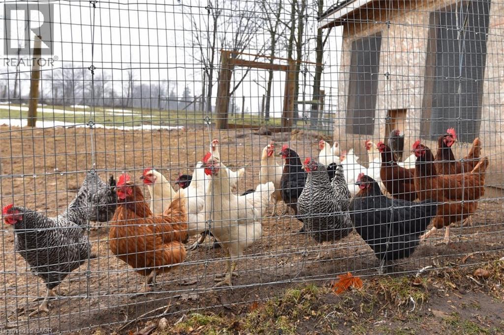 1344 Highway 8 Highway, Flamborough, Ontario  N1R 5S2 - Photo 43 - 40793986