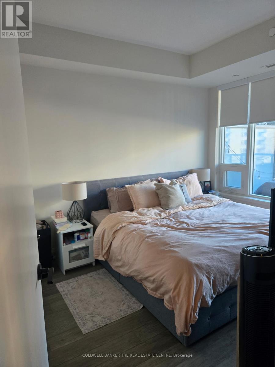 302 - 212 King William Street, Hamilton, Ontario  L8R 3N9 - Photo 10 - X12692972