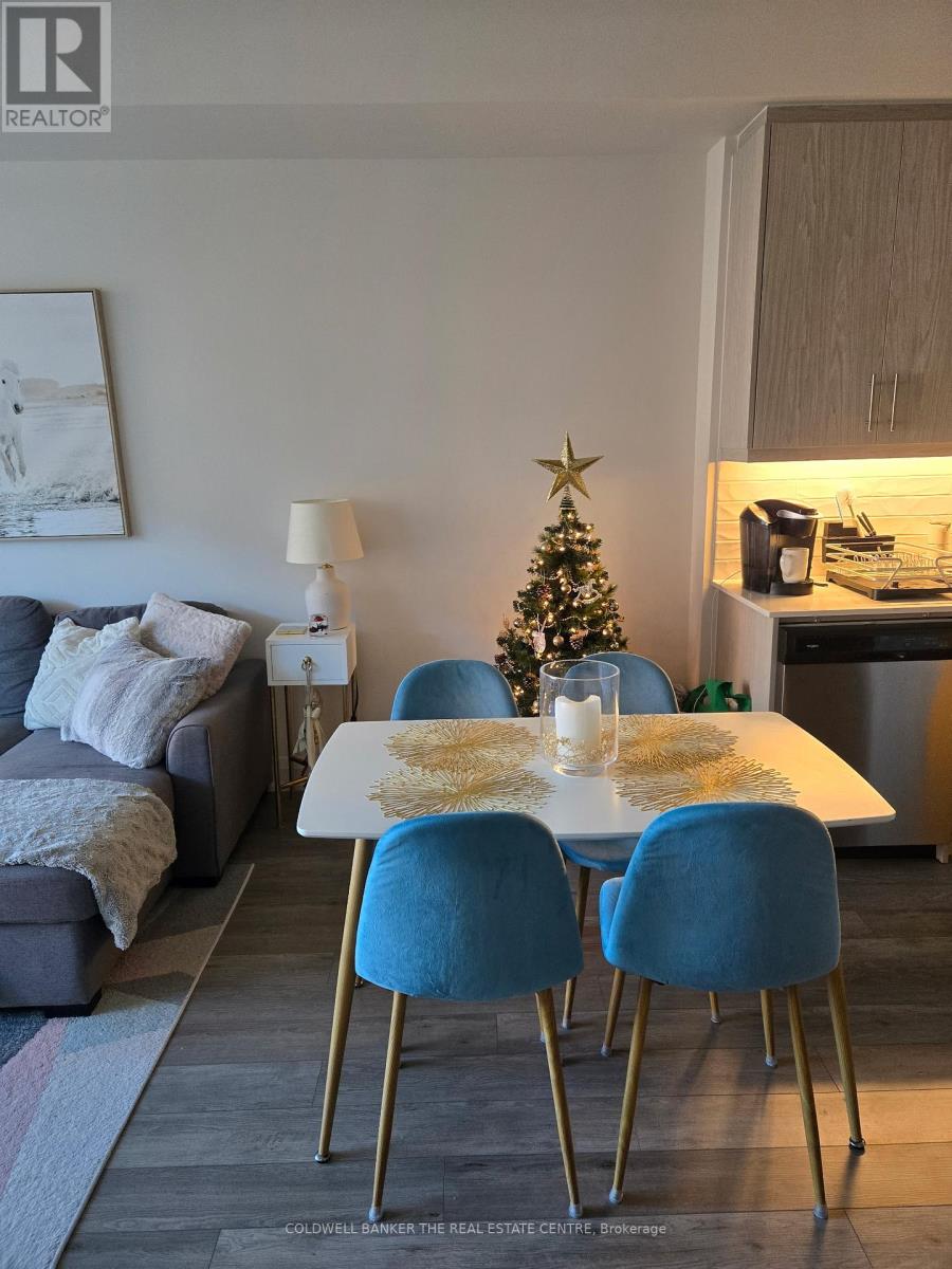 302 - 212 King William Street, Hamilton, Ontario  L8R 3N9 - Photo 9 - X12692972