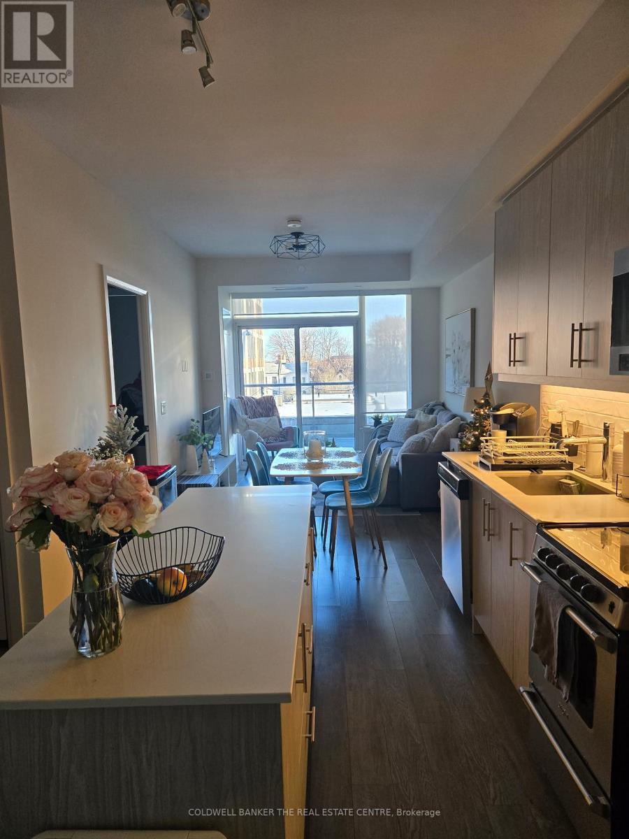 302 - 212 King William Street, Hamilton, Ontario  L8R 3N9 - Photo 7 - X12692972