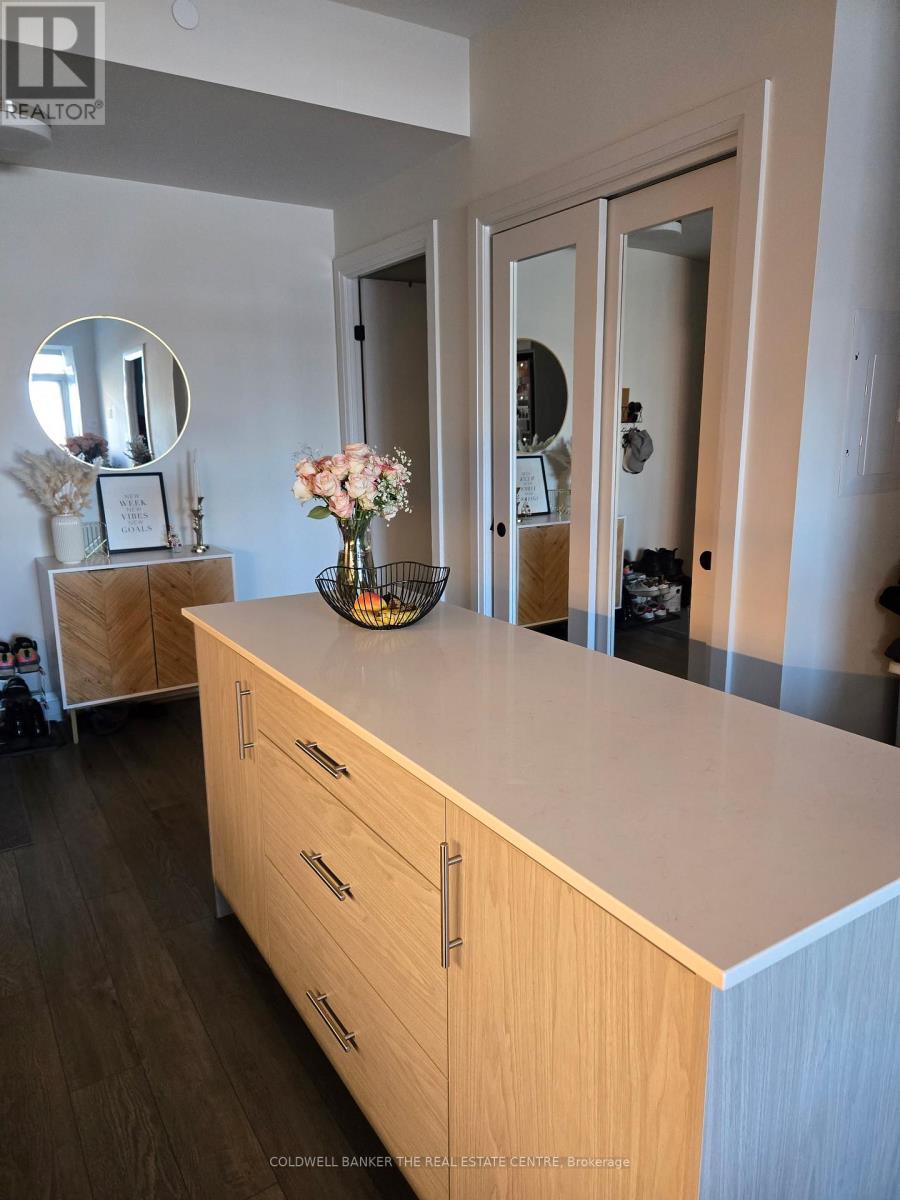 302 - 212 King William Street, Hamilton, Ontario  L8R 3N9 - Photo 5 - X12692972