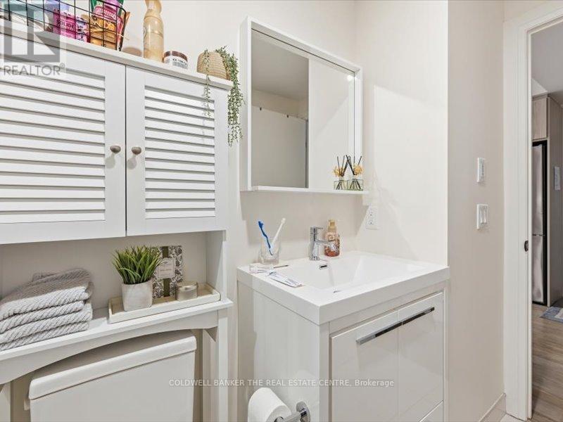 302 - 212 King William Street, Hamilton, Ontario  L8R 3N9 - Photo 15 - X12692972