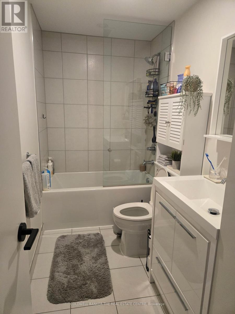 302 - 212 King William Street, Hamilton, Ontario  L8R 3N9 - Photo 14 - X12692972