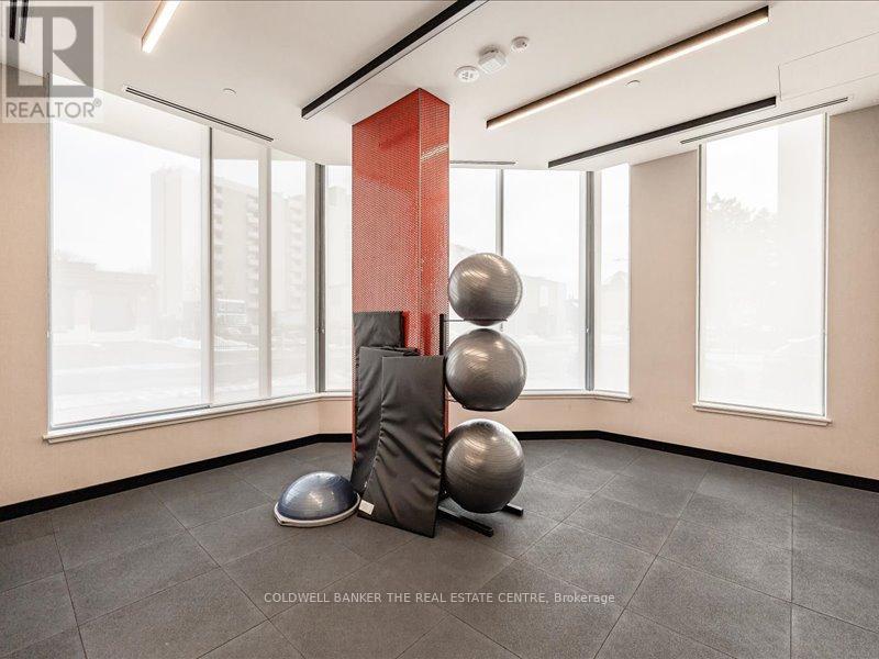 302 - 212 King William Street, Hamilton, Ontario  L8R 3N9 - Photo 34 - X12692972