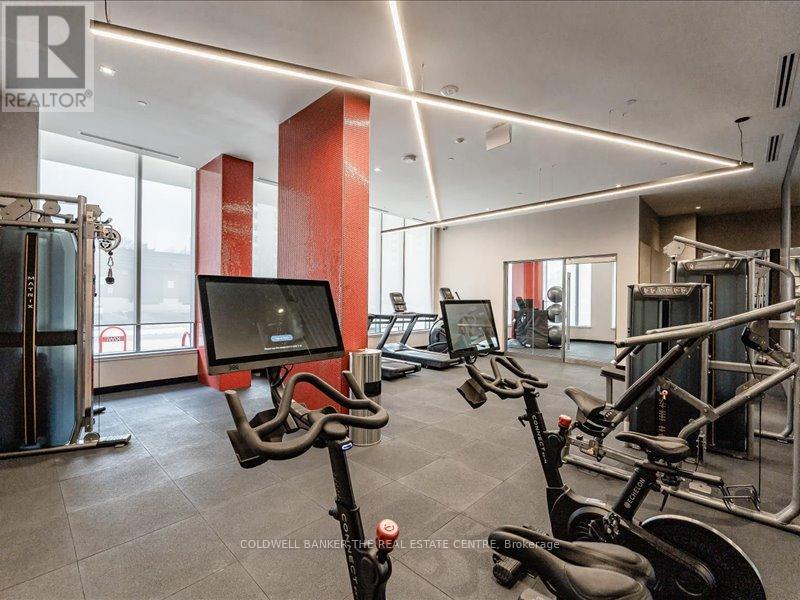 302 - 212 King William Street, Hamilton, Ontario  L8R 3N9 - Photo 32 - X12692972