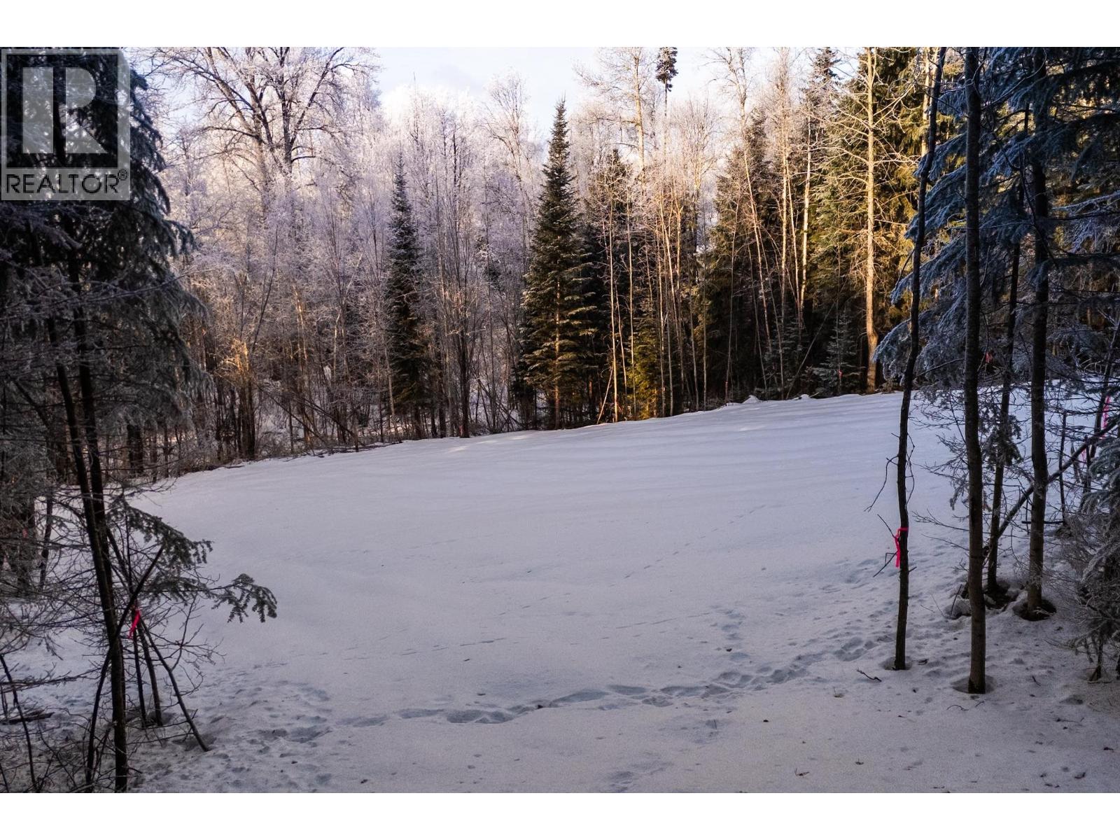 Lot 23-24 Beger Road, Prince George, British Columbia  V2M 7C8 - Photo 3 - R3078905