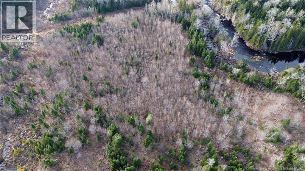 Vacant Lot Timberland, Dumfries, New Brunswick  E6G 2P9 - Photo 16 - NB132012