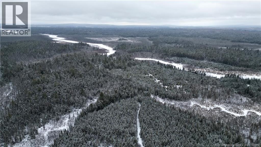 Vacant Lot Timberland, Dumfries, New Brunswick  E6G 2P9 - Photo 4 - NB132012