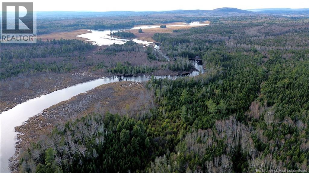 Vacant Lot Timberland, Dumfries, New Brunswick  E6G 2P9 - Photo 18 - NB132012