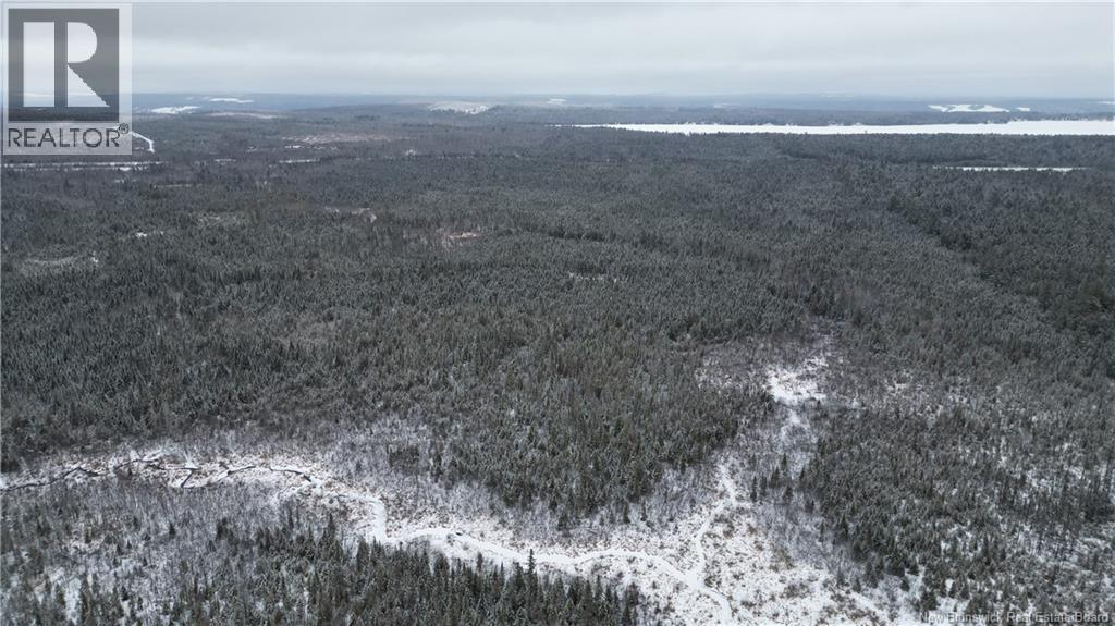 Vacant Lot Timberland, Dumfries, New Brunswick  E6G 2P9 - Photo 10 - NB132012