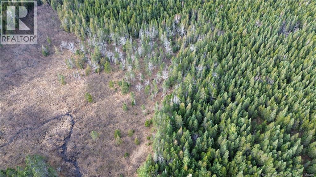 Vacant Lot Timberland, Dumfries, New Brunswick  E6G 2P9 - Photo 20 - NB132012