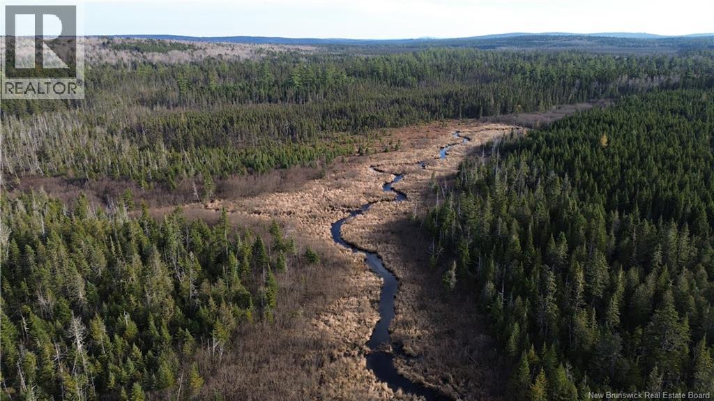 Vacant Lot Timberland, Dumfries, New Brunswick  E6G 2P9 - Photo 24 - NB132012