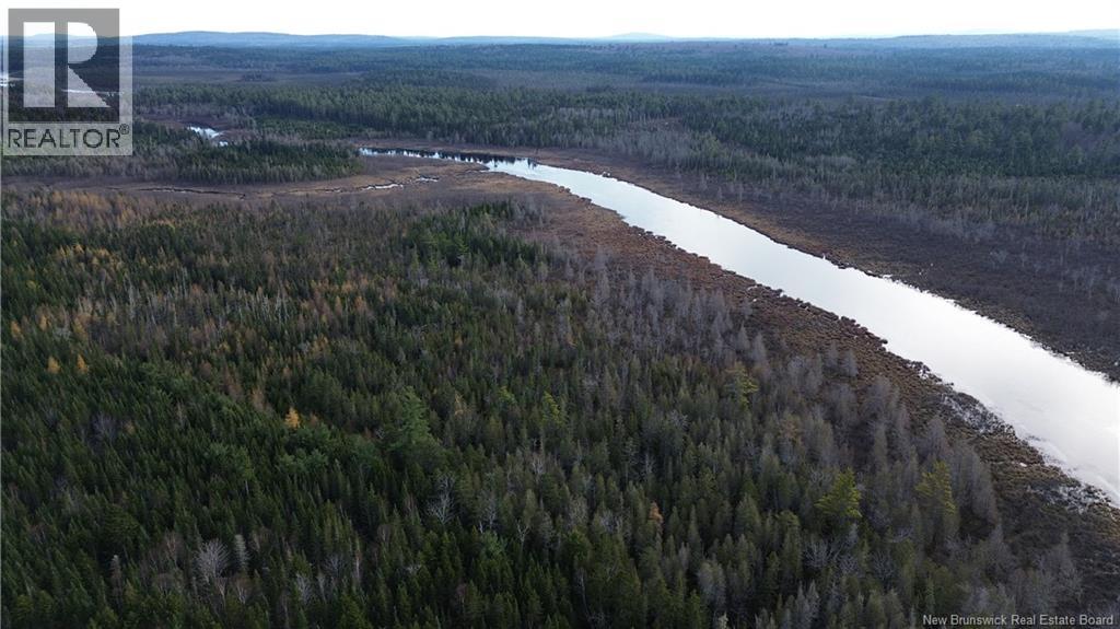 Vacant Lot Timberland, Dumfries, New Brunswick  E6G 2P9 - Photo 19 - NB132012
