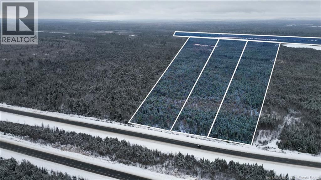 Vacant Lot Timberland, Dumfries, New Brunswick  E6G 2P9 - Photo 1 - NB132012