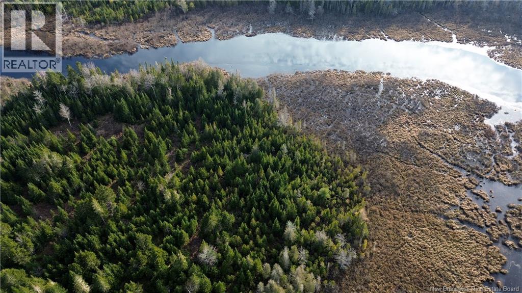 Vacant Lot Timberland, Dumfries, New Brunswick  E6G 2P9 - Photo 13 - NB132012