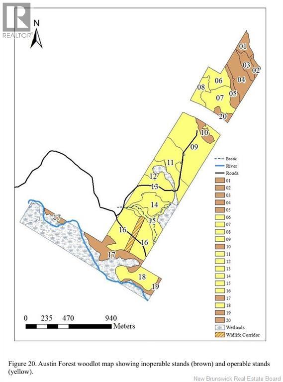 Vacant Lot Timberland, Dumfries, New Brunswick  E6G 2P9 - Photo 29 - NB132012