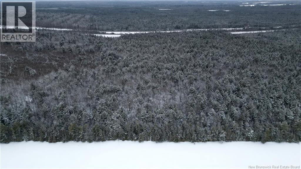 Vacant Lot Timberland, Dumfries, New Brunswick  E6G 2P9 - Photo 7 - NB132012