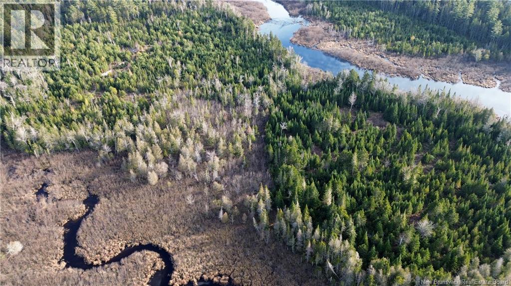 Vacant Lot Timberland, Dumfries, New Brunswick  E6G 2P9 - Photo 15 - NB132012