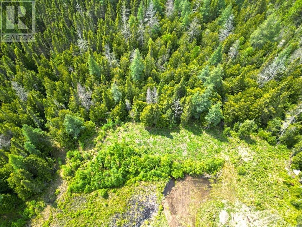 2999 Alice Ave, Thunder Bay, Ontario  P7G 1X4 - Photo 19 - TB253674