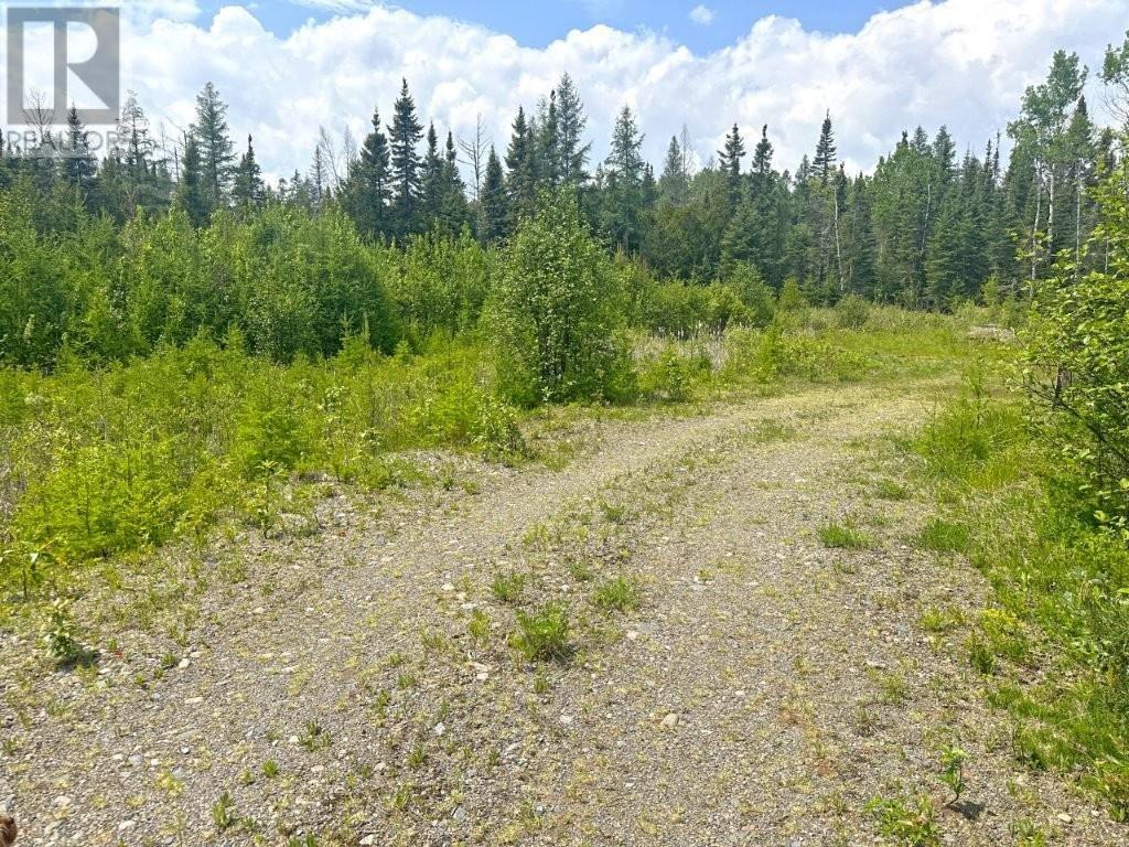 2999 Alice Ave, Thunder Bay, Ontario  P7G 1X4 - Photo 21 - TB253674