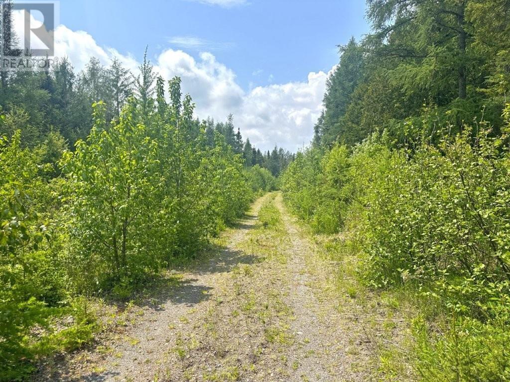 2999 Alice Ave, Thunder Bay, Ontario  P7G 1X4 - Photo 23 - TB253674