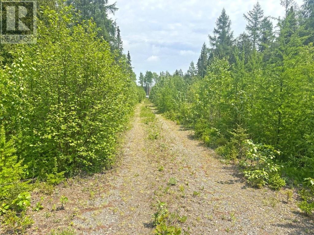 2999 Alice Ave, Thunder Bay, Ontario  P7G 1X4 - Photo 22 - TB253674