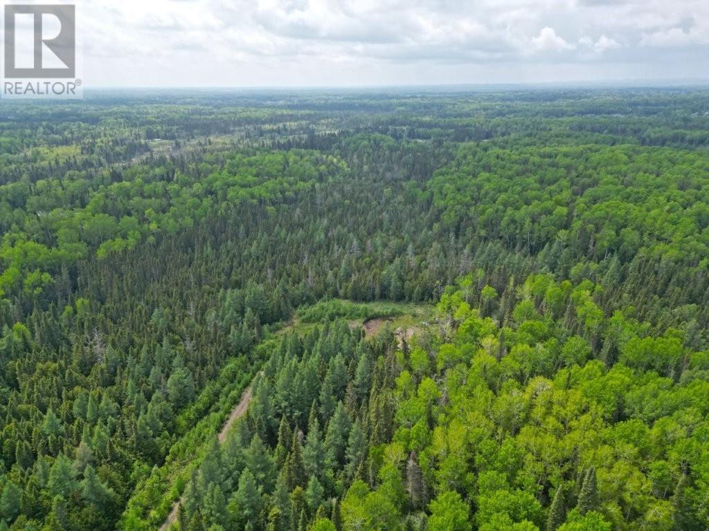 2999 Alice Ave, Thunder Bay, Ontario  P7G 1X4 - Photo 7 - TB253674