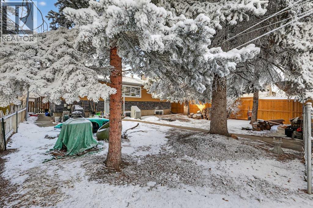 920 42 Street Sw, Calgary, Alberta  T3C 1Y8 - Photo 33 - A2276490