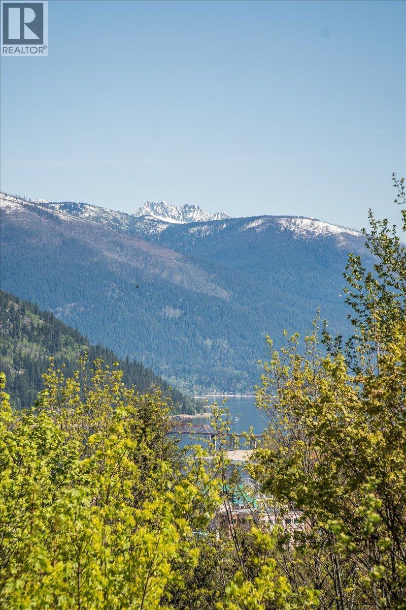 604 Wasson Street, Nelson, British Columbia  V1L 3G7 - Photo 67 - 10372622