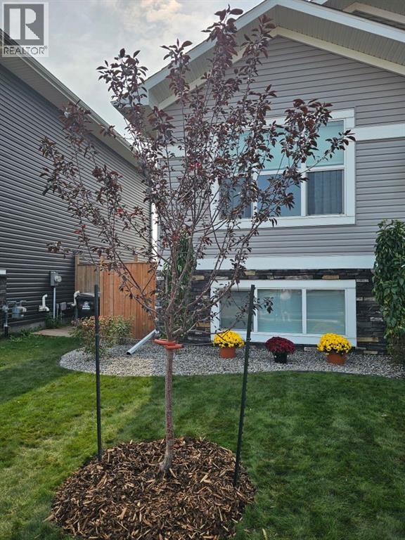 49 Aztec Crescent, Blackfalds, Alberta  T4M 0M2 - Photo 49 - A2279039
