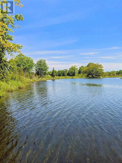 Third Lot Beach South Road, Kagawong, Ontario  P0P 1J0 - Photo 10 - 2126198