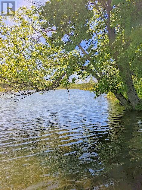 Third Lot Beach South Road, Kagawong, Ontario  P0P 1J0 - Photo 11 - 2126198