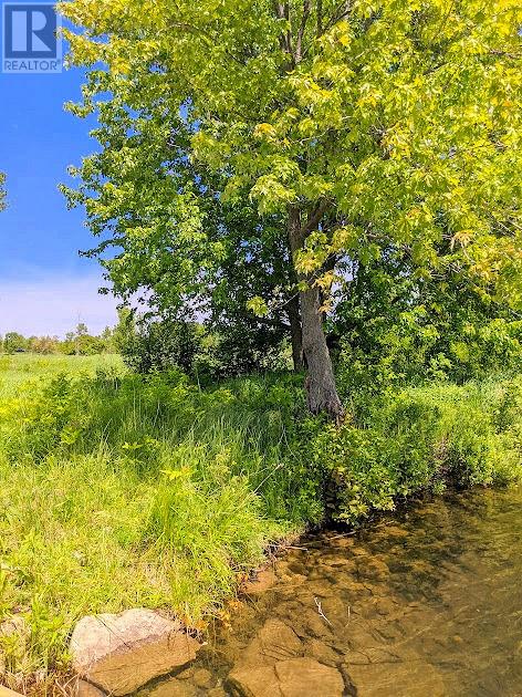 Third Lot Beach South Road, Kagawong, Ontario  P0P 1J0 - Photo 12 - 2126198