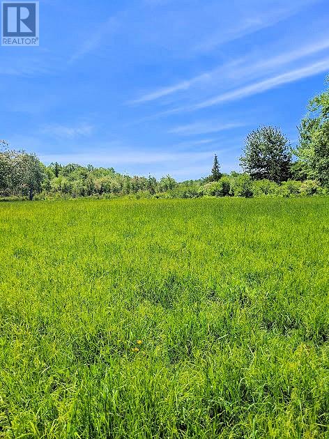 Second Lot Beach South Road, Kagawong, Ontario  P0P 1J0 - Photo 15 - 2126197